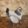 Sussex Hen, 2015
Encaustics on Wood Panel
12" x 12"